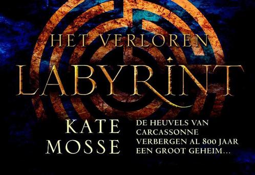 Het verloren labyrint / Languedoc-trilogie / 1 9789049800826, Boeken, Thrillers, Zo goed als nieuw, Verzenden