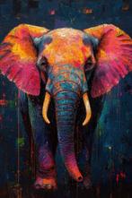 CoCo - Rainbow Giant - XXL