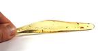 Copal - Ambre - Big chunk with many insects , including a