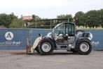 Veiling: Verreiker Terex AGRILIFT 737 Diesel 3700kg 6.95m 75, Ophalen