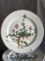 Villeroy & Boch - Dessertservies (6) - Botanica - Thymus