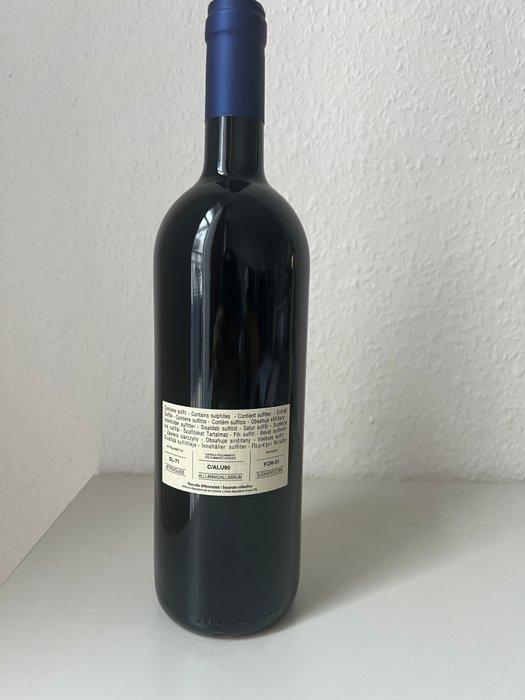 2021 Tenuta San Guido, Sassicaia - Bolgheri DOC - 1 Fles, Verzamelen, Wijnen