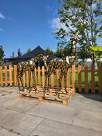 Statue, Bronze: XL Giraffe Set - 129 cm - Bronze - 2025