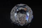 Swarovski jubileum editie - Presse-papier - Kristal