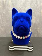 KIRAS - FRANCY The boss of house !  Blue Elettrico VELVET-