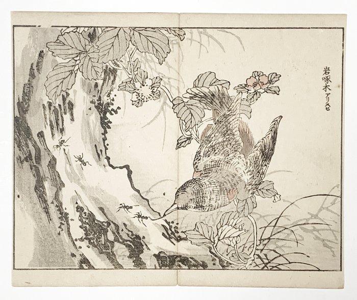 Woodpecker and Ants Print ( ) - Kono Bairei, Antiek en Kunst, Antiek | Overige Antiek