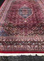 Bidjar - Vloerkleed - 355 cm - 245 cm, Nieuw