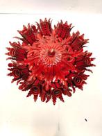 Kroonluchter - Hanglamp met 10 lichten in Banci-stijl,, Huis en Inrichting, Nieuw