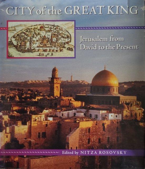 City of the Great King 9780674131903 Nitza Rosovsky, Boeken, Taal | Engels, Gelezen, Verzenden