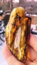 Baltisch barnsteen - Gepolijste steen met bloemachtige, Nieuw