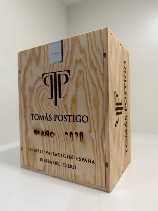 2020 Tomás Postigo 5º Año Tinto - Ribera del Duero - 6, Verzamelen, Wijnen