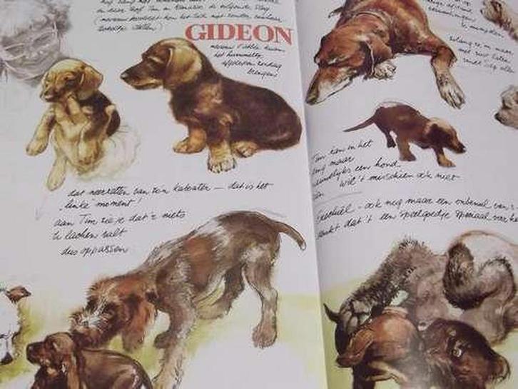 BRAAF 9789026948794 POORTVLIET, Boeken, Kunst en Cultuur | Beeldend, Gelezen, Verzenden