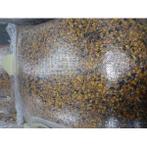 Ardeens graan - vol - 20 kg - losse zak ( label geel )