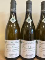 2022 Domaine Marc Morey & Fils, Les Pucelles - Puligny, Nieuw