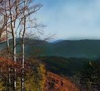 Mariska Karto - Valley, Antiek en Kunst