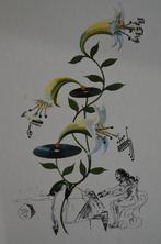 Salvador Dali (1904-1989) - Le Lys Musical, Antiek en Kunst