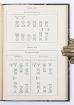 Paul Ehrlich - Constitution, Vertheilung und Wirkung