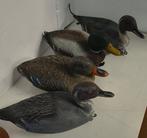 MVR - Lokeend - Anatra da richiamo (4) - polyethyleen