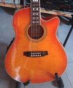 Ibanez - AE350 S (hard case included) -  - Guitare