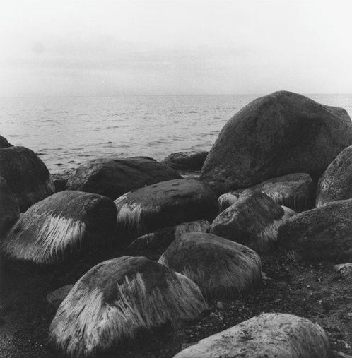 Rytis Gervickas (1982) - Calm sea (gelatin silver print), Antiek en Kunst, Kunst | Schilderijen | Modern