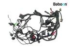 Kabelboom BMW G 310 GS 2017-2019 (G310GS K02), Verzenden, Gebruikt