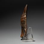 Égypte ancienne Silex Hache de main - couteau. 9,5 cm de