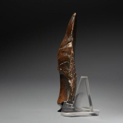 Égypte ancienne Silex Hache de main - couteau. 9,5 cm de, Verzamelen, Mineralen en Fossielen