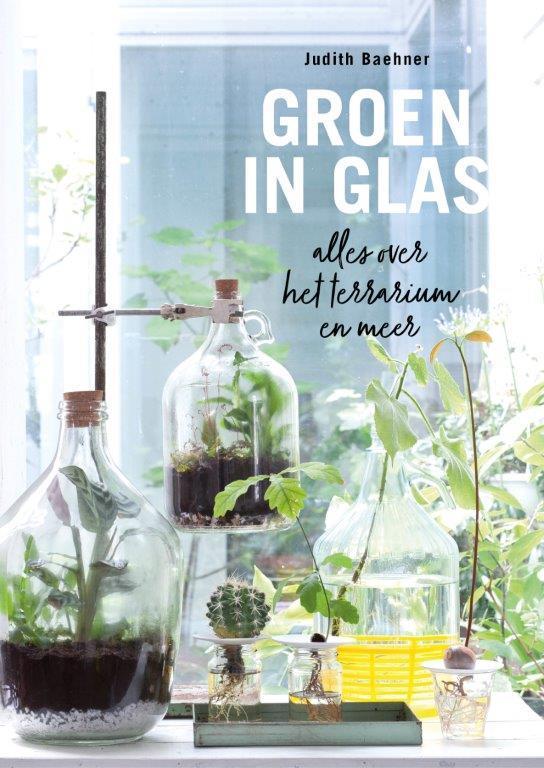 Groen in glas 9789462501928 Judith Baehner, Boeken, Hobby en Vrije tijd, Gelezen, Verzenden