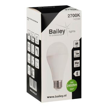 Bailey Ecobasic Led A65 E27 20W 2700K Ampoule - 142596, Verzenden