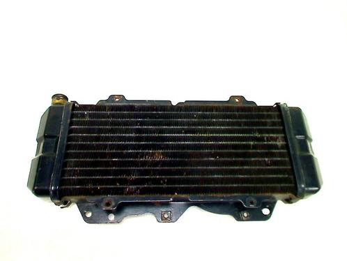 Honda CN 250 Helix 1986-1990 437V RADIATEUR, Motoren, Onderdelen | Overige, Gebruikt, Ophalen of Verzenden