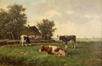 A.M Geijp (1855-1927) - Koeien in het land