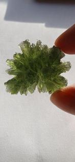 Moldaviet uit Besednice Jezkovna - topkwaliteit egels -