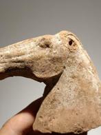 Tang-dynastie China - keramiek rood paardenhoofd archeologie, Antiek en Kunst