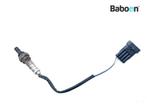 Lambda Sonde Moto Guzzi 1200 Sport 2007-2009 (LPM0), Verzenden, Gebruikt