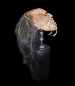 Curiosity cabinet - Rare reproduction of a tattooed Maori