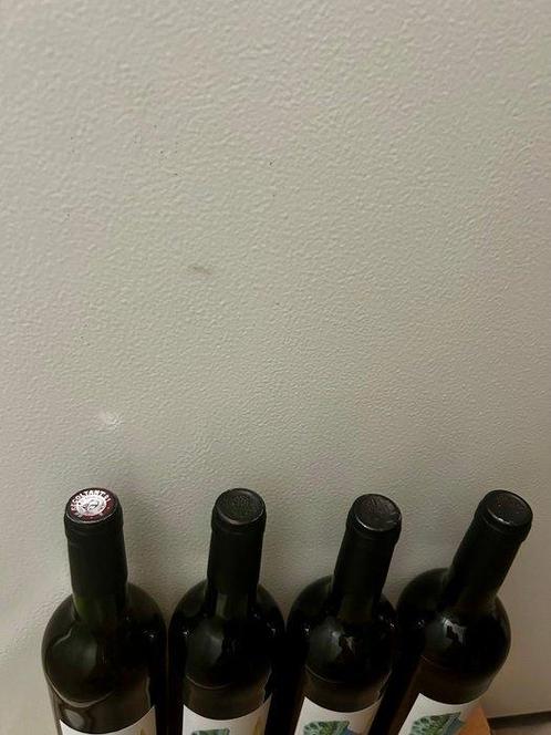 2021 Les Vins du Cabanon Canta Mañana -, Verzamelen, Wijnen