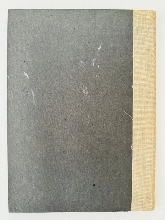 Chevalier Ardent T15 - Le Piège - C - 1 Album - Beperkte, Livres, BD