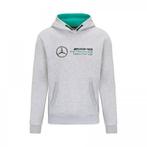 Mercedes Official MAPF1 FW Logo Hooded Sweat XS Grey 2023 -, Nieuw