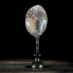 Decoratief ornament - NO RESERVE PRICE - A pair of beautiful, Antiek en Kunst