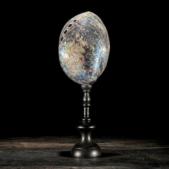 Decoratief ornament - NO RESERVE PRICE - A pair of beautiful, Antiek en Kunst, Kunst | Designobjecten