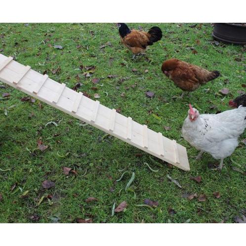 Replacement bottom bath for 82835, 104,5x55x3,5 - kerbl, Dieren en Toebehoren, Pluimvee | Toebehoren