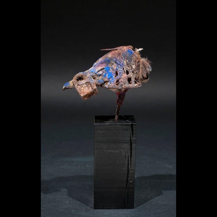 Fetisj eenden schedel - Vaudou - Fon - Benin, Antiquités & Art, Art | Art non-occidental