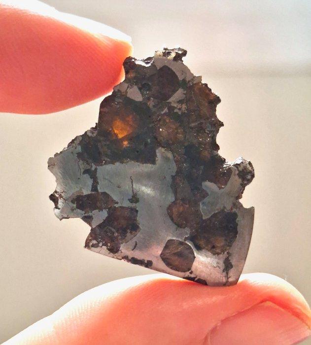 Geen reserve. Brahin-meteoriet, pallasiet - 10.6 g, Collections, Minéraux & Fossiles