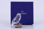 Figure - Swarovski Kristal - Hedwig van Harry Potter (Boxed