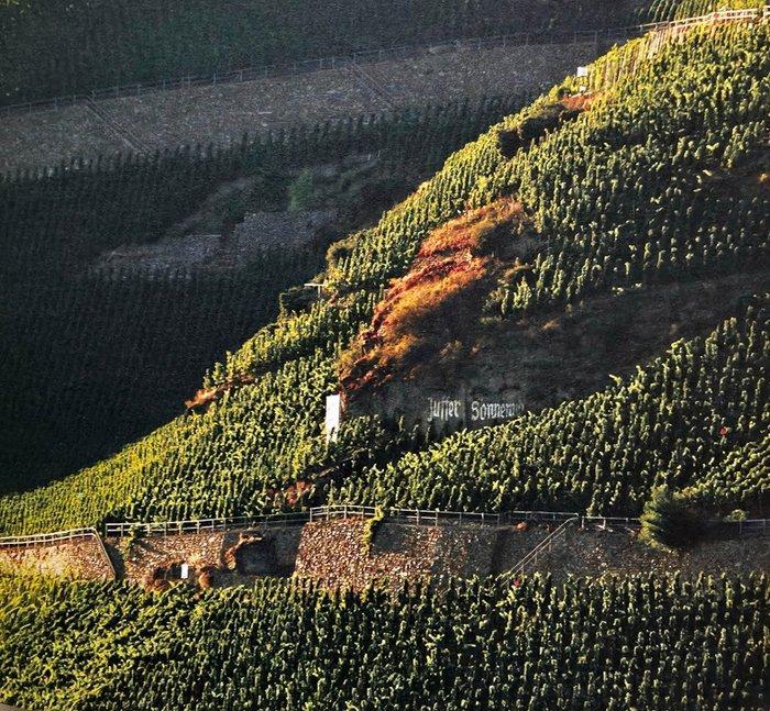 2006 Fritz Haag, Brauneberger Juffer Sonnenuhr, Riesling -, Verzamelen, Wijnen