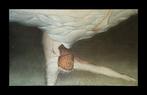 Nils Obel (1937-2018) - La chute, Antiek en Kunst