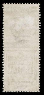 Italie 1925 - Publicitaire, 50 centimes Tantal. - Sassone 18, Gestempeld