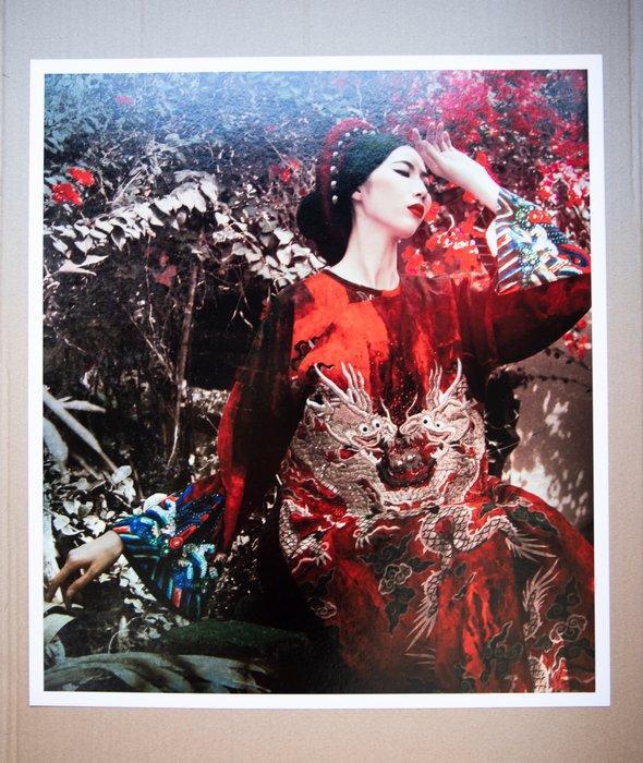 Viet Ha Tran - The Soul of Vietnam IV, Antiek en Kunst, Kunst | Designobjecten