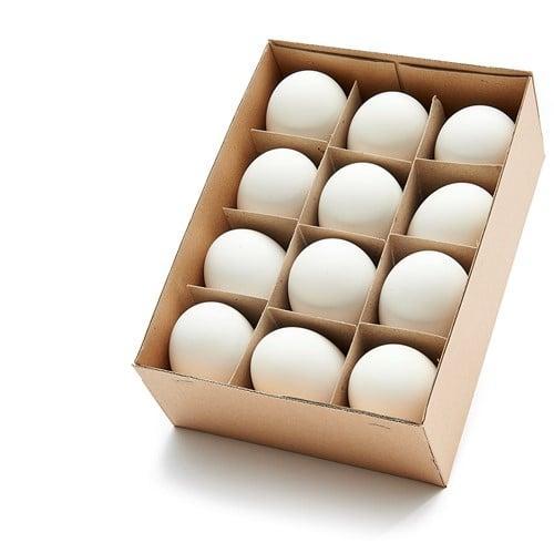 Ganzeneieren xl 8 cm leeggeblazen voor decoratie doos 12, Hobby & Loisirs créatifs, Bricolage