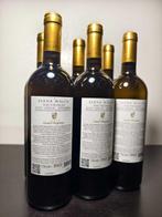 2021 Sauvignon Castel Ringberg Elena Walch - Trentino Alto, Verzamelen, Nieuw